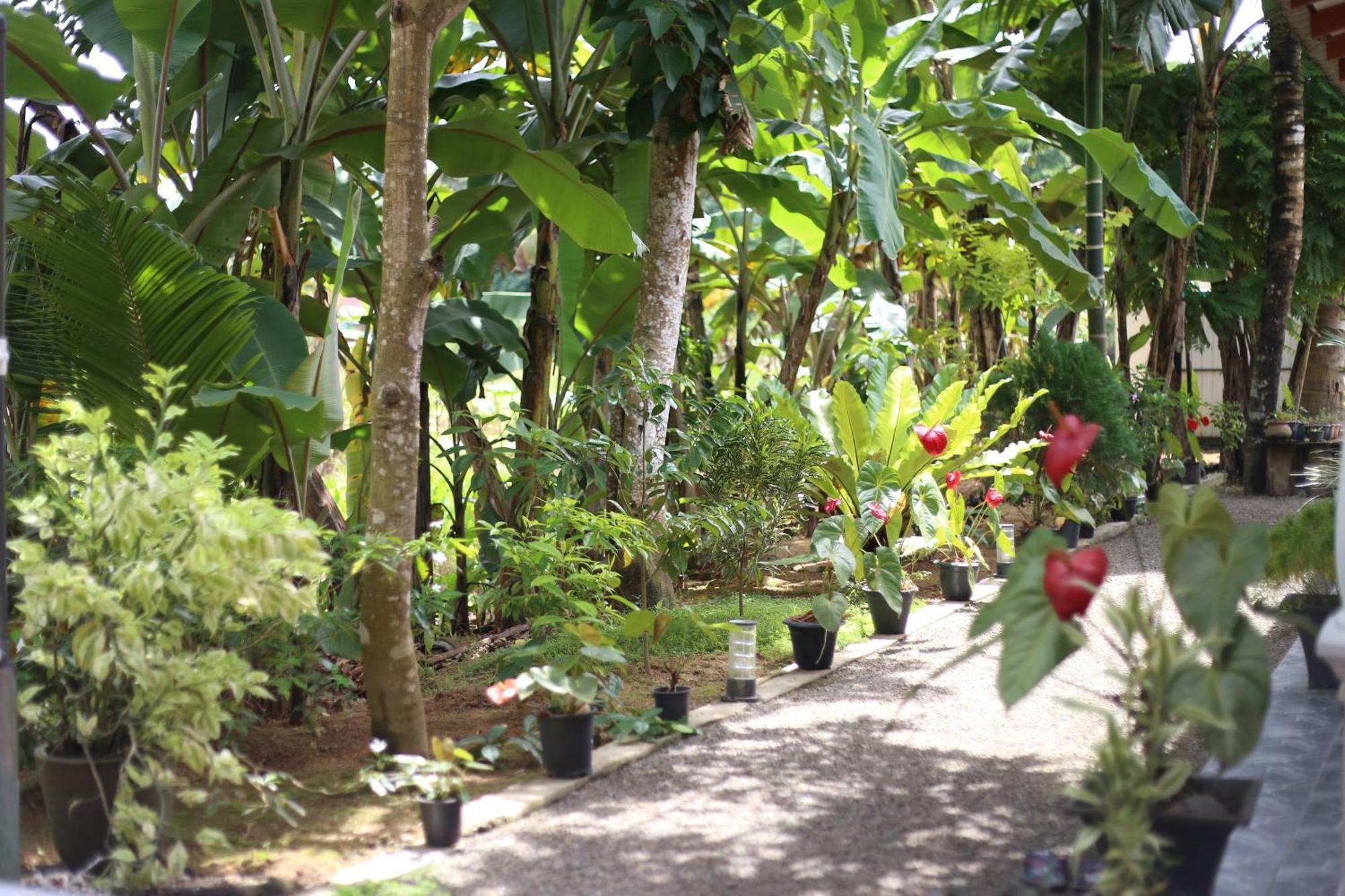 Bakery Family Guest House Mirissa Exterior foto